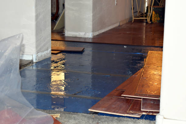 Professional Basement Flood Cleanup technician working in Braham, MN